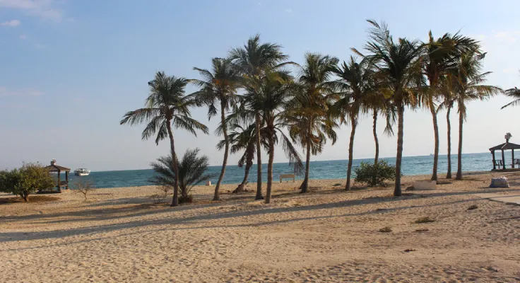 تور کیش